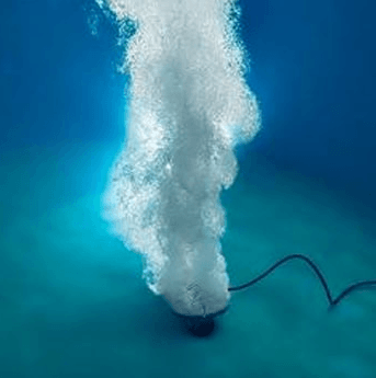 From Stagnant to Stunning: The Role of Pond Aeration in Garden Beauty